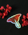 STICKER / « Decay »