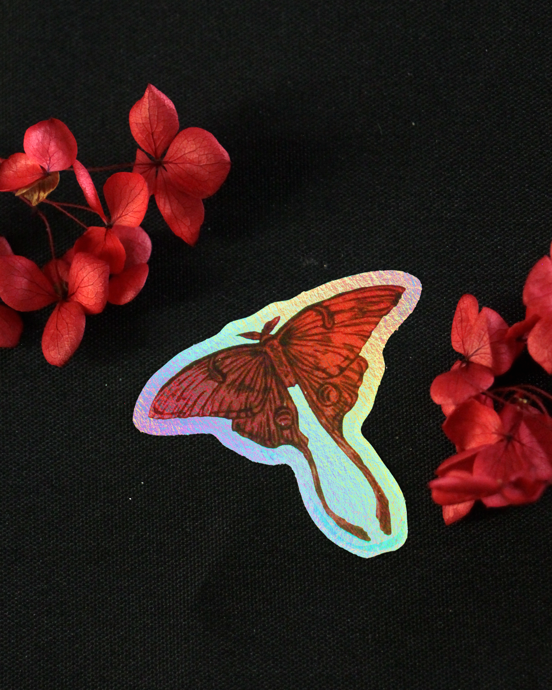 STICKER / « Decay »